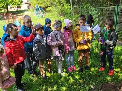 grupa dzieci przedszkolnych podczas sadzenia dębów na placu przedszkolnym okazji dnia drzewa