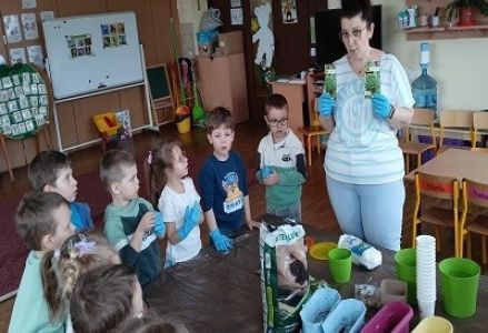 Zielona hodowla w grupie Misia Uszatka 2023