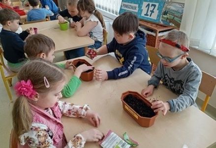 grupa dzieci przedszkolnych podczas zakładania zielonej hodowli