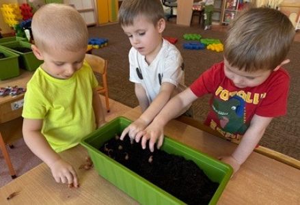 Dzieci z grupy przedszkolnej podczas zakładania wiosennego ogródka