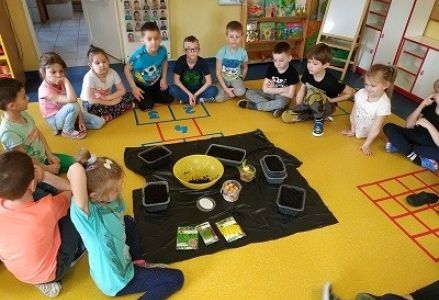 dzieci siedzą wokół doniczek i ziemi