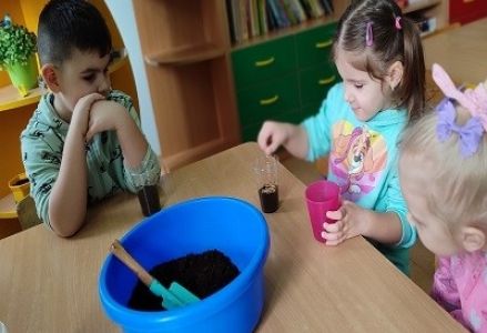 Zielona hodowla w grupie Koziołka Matołka 2023