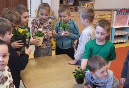 grupa dzieci przedszkolnych podczas zakładania zielonej hodowli w sali