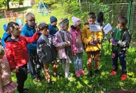 grupa dzieci przedszkolnych podczas sadzenia dębów na placu przedszkolnym okazji dnia drzewa