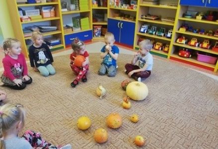 oglądanie dyni zgromadzonych na dywanie
