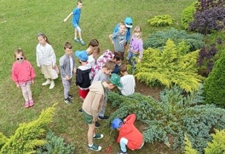 grupa dzieci przedszkolnych podczas sadzenia pamiątkowego dębu