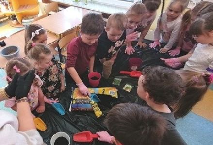 grupa dzieci przedszkolnych podczas zakładania zielonej hodowli w sali