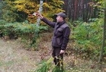 leśnik opowiada o drzewach
