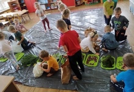 segregacja darów jesieni