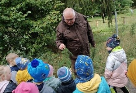 leśniczy pokazuje gałązki sosnowe