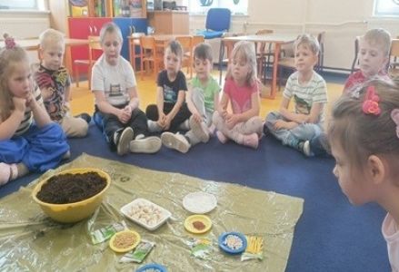 grupa dzieci przedszkolnych podczas zakładania zielonej hodowli w sali