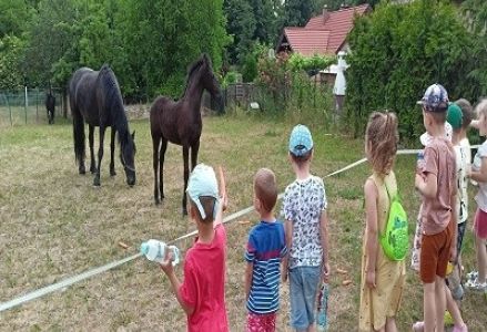 Grupa Misia Uszatka zwiedza gospodarstwo 2023