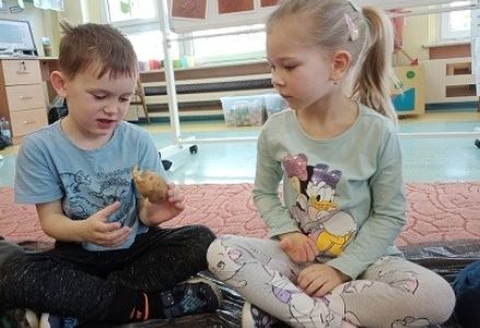 Zielona hodowla w grupie Kubusia Puchatka 2023