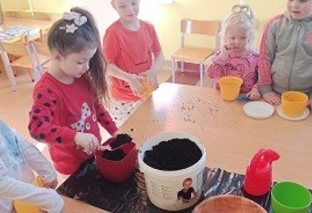 dzieci zakładają ogródek przedszkolny