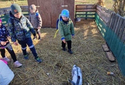 grupa dzieci przedszkolnych podczas wycieczki do farmy dyniowej w Runówku
