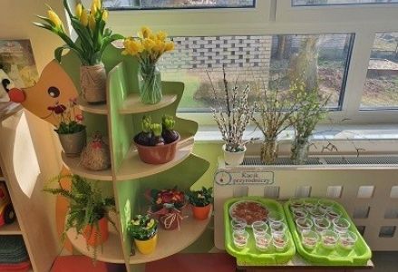 przedszkole kącik przyrody hodowla roślin