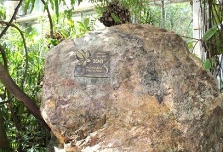 grupa dzieci przedszkolnych podczas wycieczki do Palmiarni Poznańskiej i Starego ZOO w Poznaniu