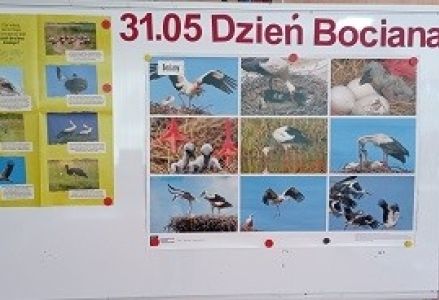 tabloca informacyjna o dniu bociana białego