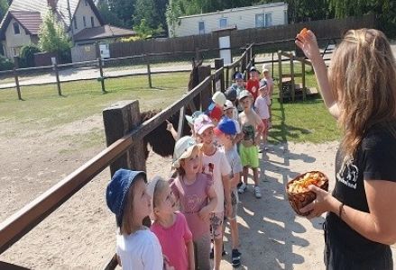 Grupa Krasnala Hałabały w Alpakolandzie 2023