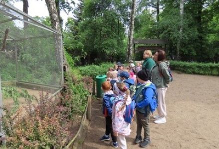 grupa dzieci przedszkolnych podczas wycieczki do Nowego Zoo w Poznaniu