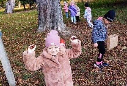 dzieci zbierają dary jesieni w parku