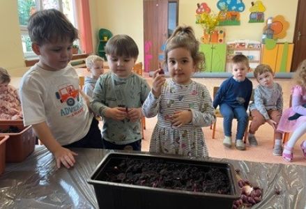 grupa dzieci z przedszkola zakłada zielona hodowle w sali