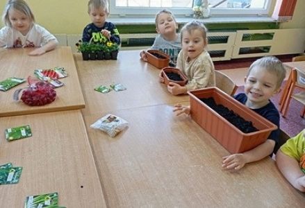 grupa dzieci przedszkolnych podczas zakładania zielonej hodowli w sali