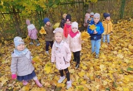 KRAINA KOLOROWYCH LIŚCI U KUBUSIA PUCHATKA 2023