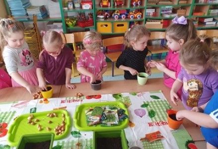 grupa dzieci podczas zakładania zielonej hodowli w przedszkolu